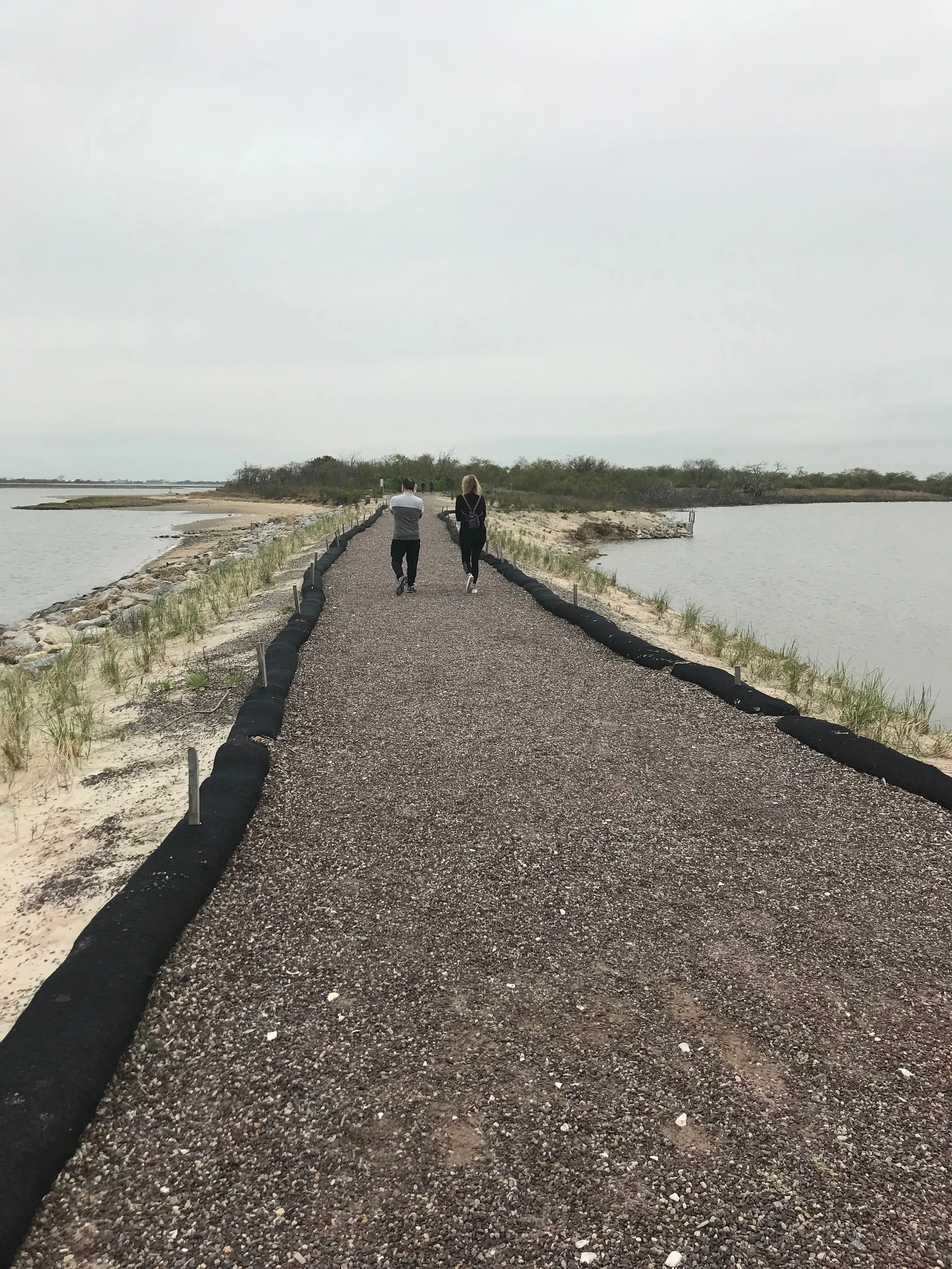 A trail through the Jamaica Bay Wildlife Refuge. Eagle photos by Jonathan Sperling.