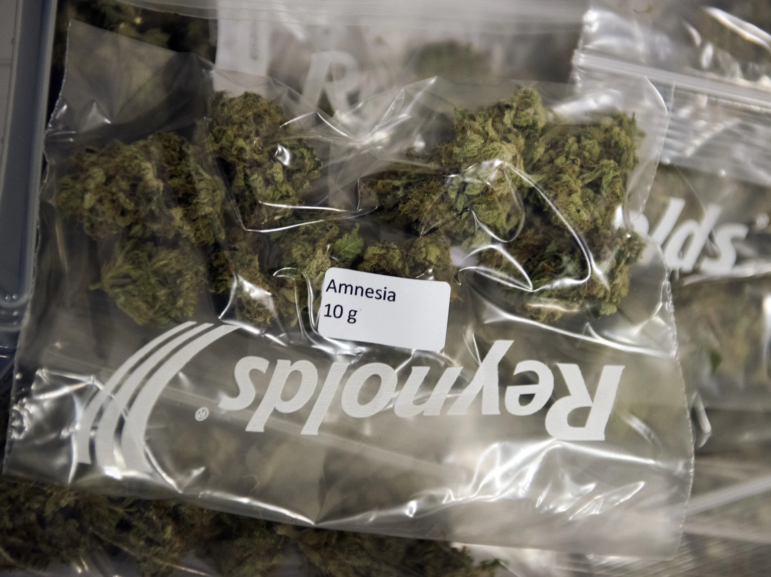 Over 350 Bags Of Weed Seized From A College Point Facility