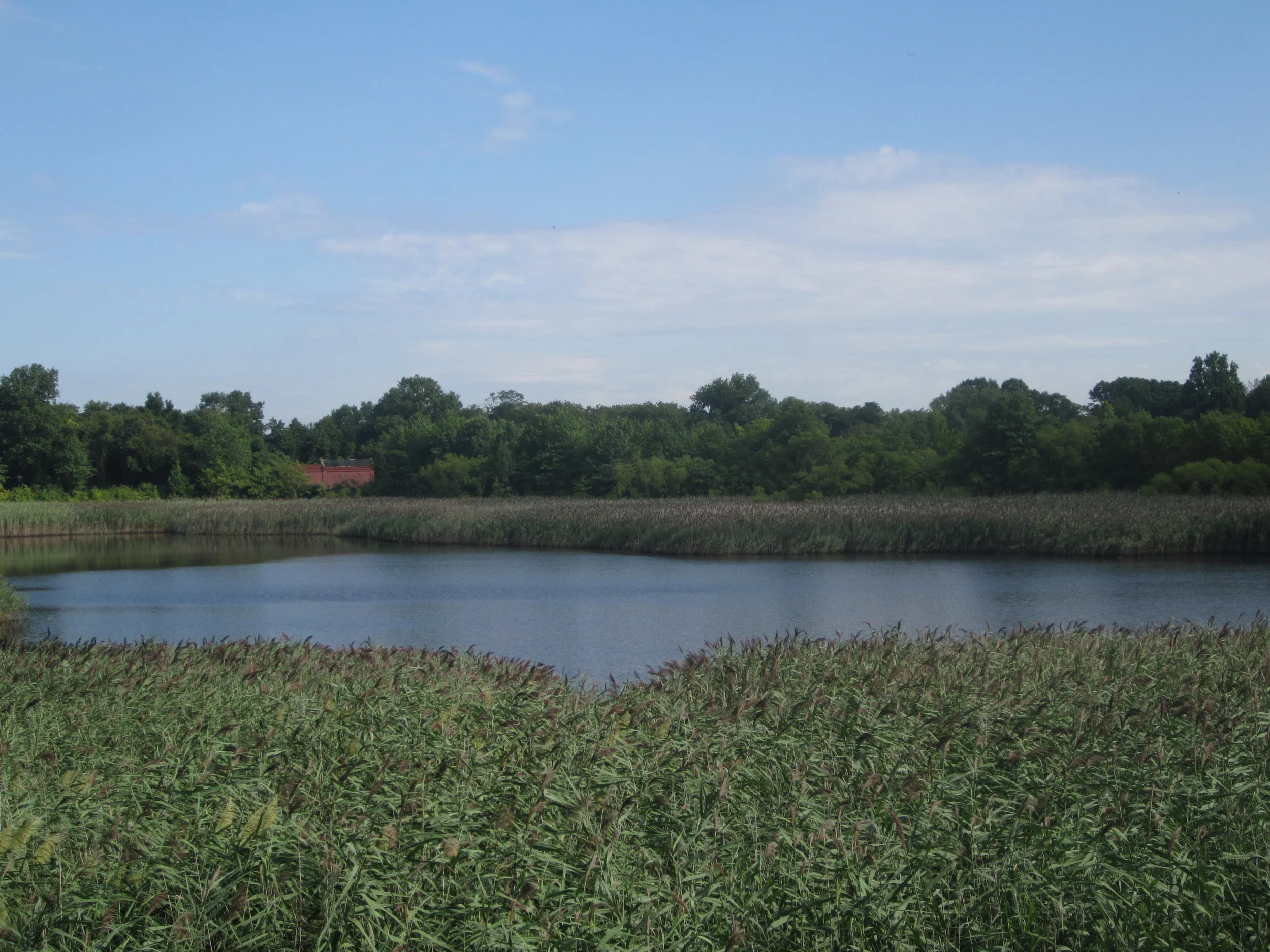 The Ridgewood Reservoir. Photo courtesy of the Newtown Historical Society