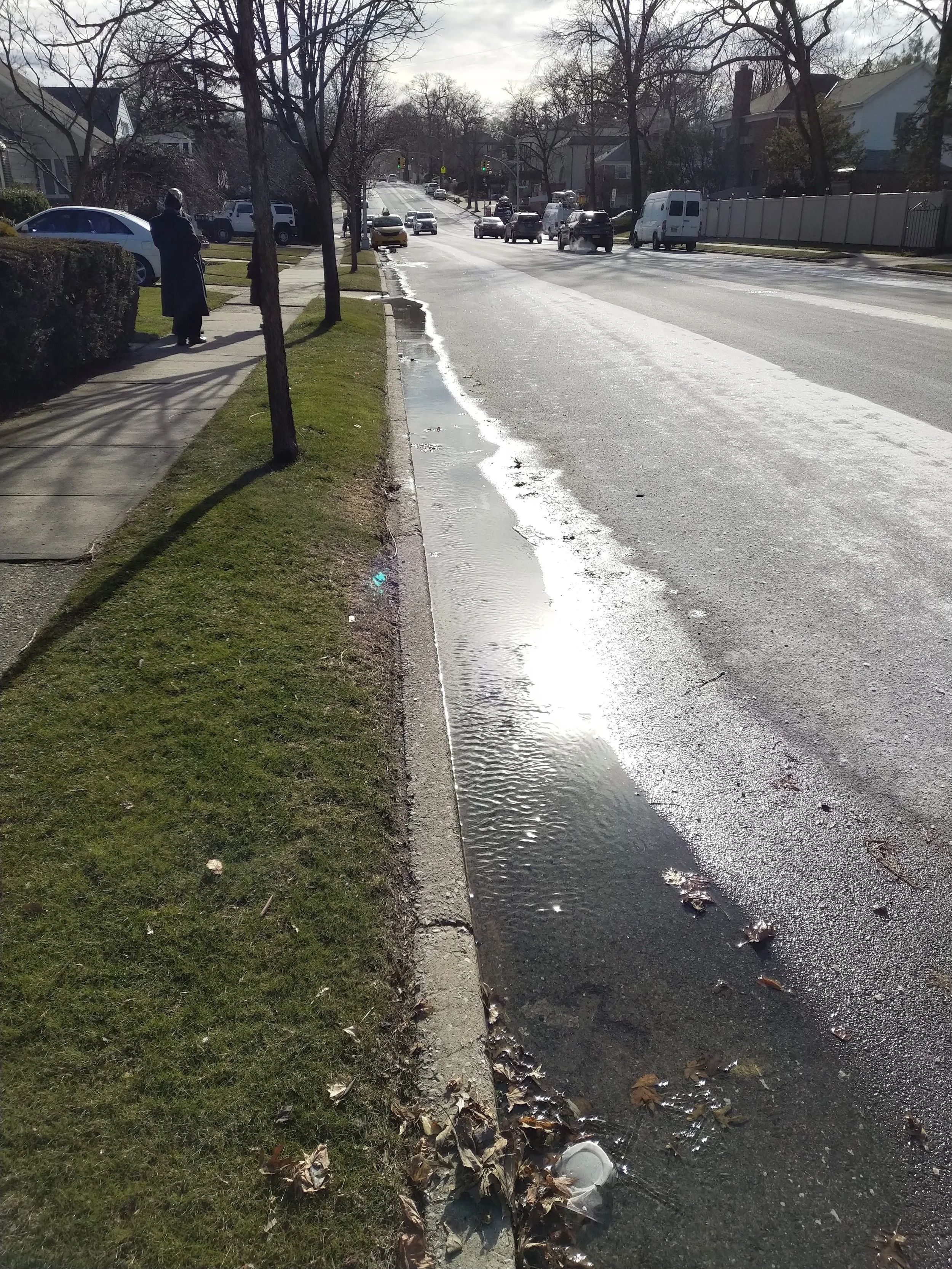 Water flowing down 188th Street. Photos courtesy of Assemblymember David I. Weprin’s office.
