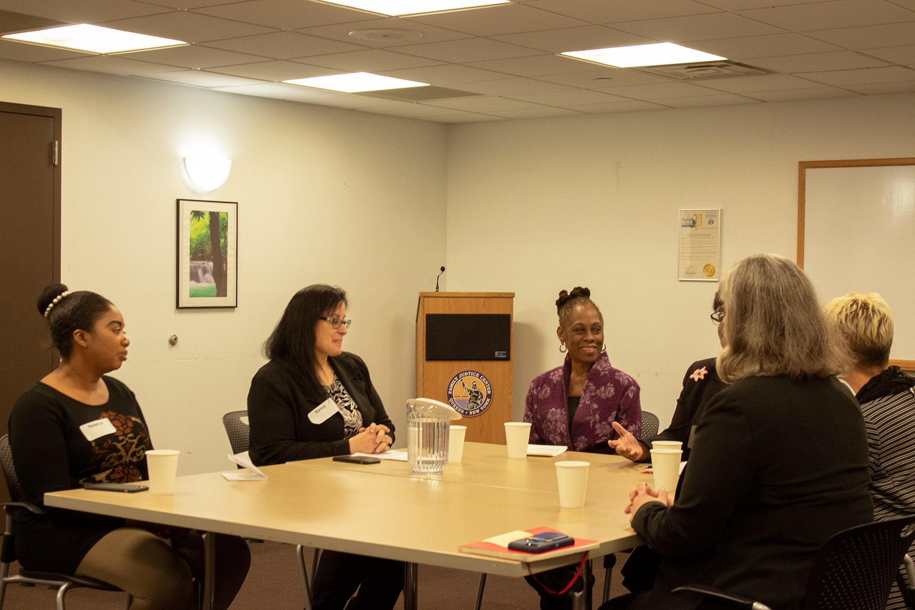 NYC First Lady Champions Mental Health Services For DV Survivors