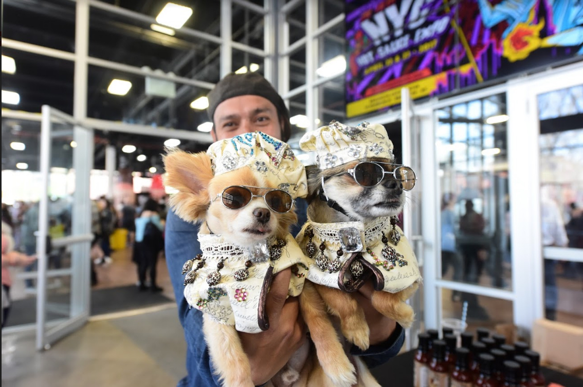 The 2015 Chihuahua Beauty Paegant. Eagle file photo by Andy Katz.