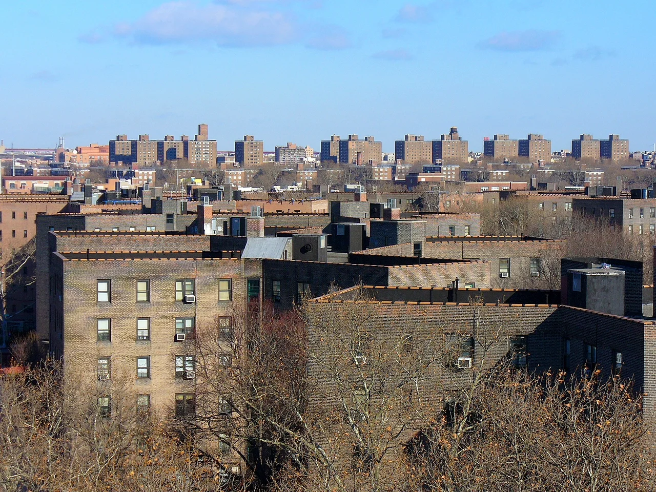 The Queensbridge Houses in Long Island City comprise the largest NYCHA development in New York City. Photo by Metrocentric via Wikimedia Commons