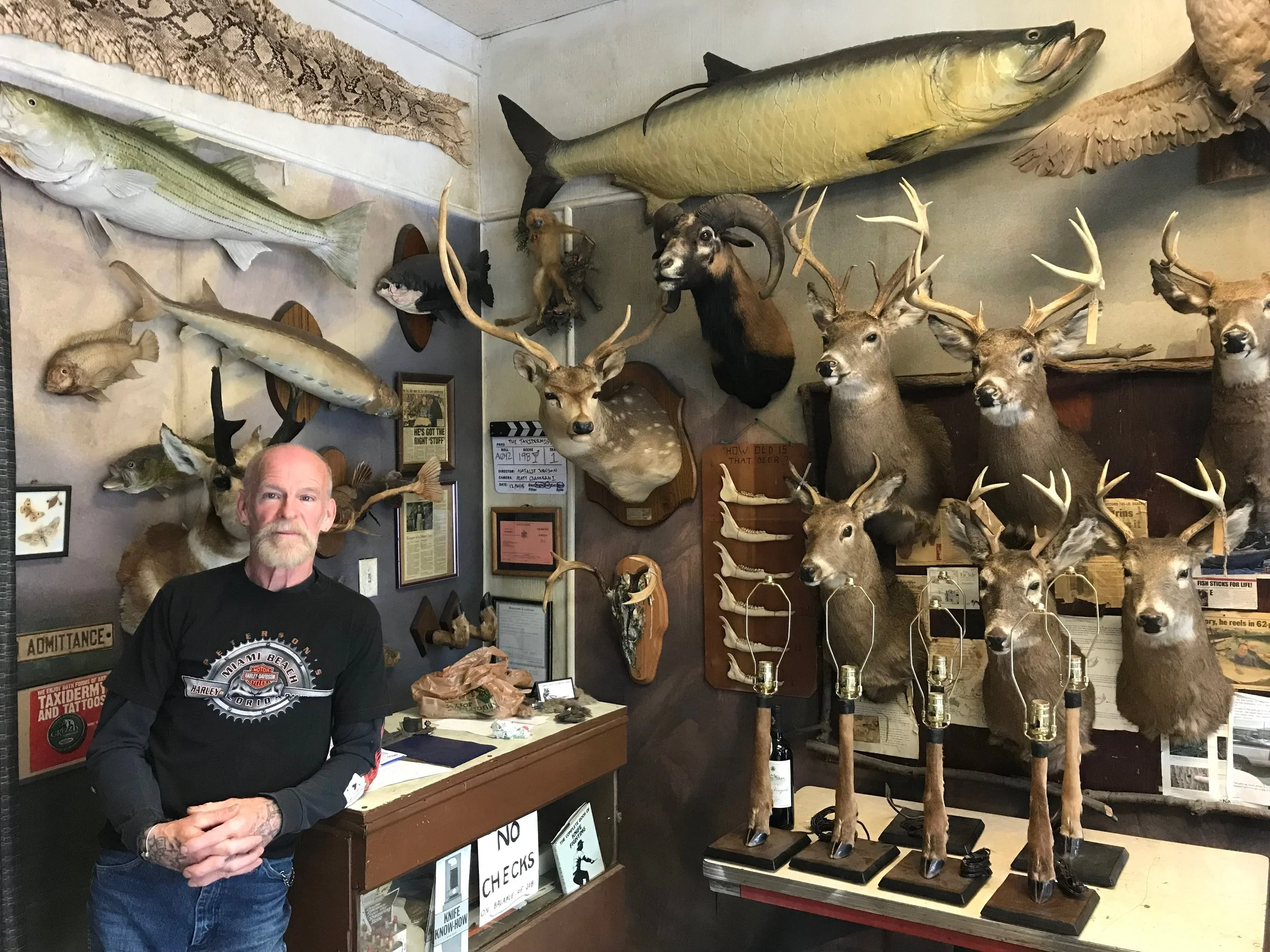 Skunk for sale — Queens’ lone taxidermy shop is alive and well