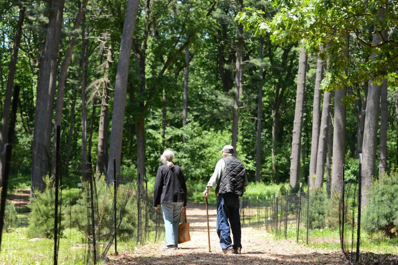 City Council releases interactive public parks map