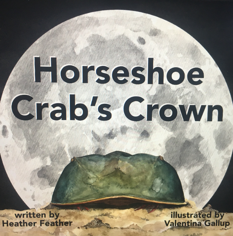 The cover of “Horseshoe Crab’s Crown.” Image courtesy of Heather Feather.
