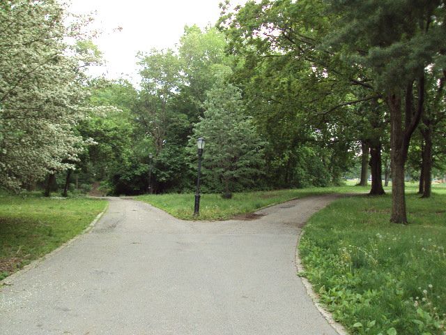 A runner spotted what she thought was a baby shortly before 8 a.m. Tuesday in a grassy area outside Crocheron Park. Photo via the Parks Department.