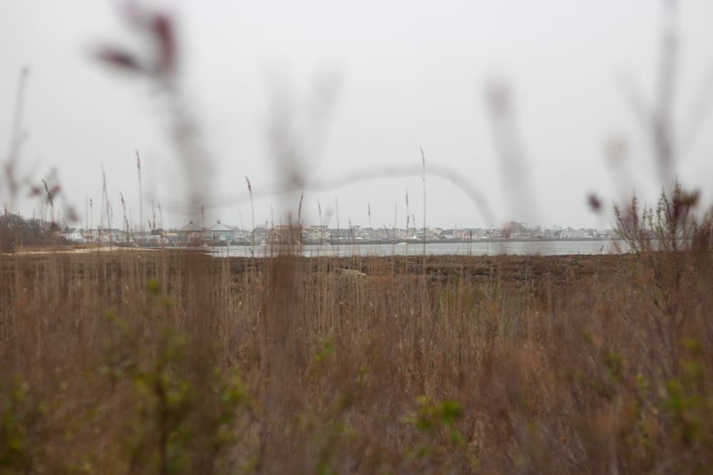 Save the bay: Bill to protect against Jamaica Bay dumping passes Senate 