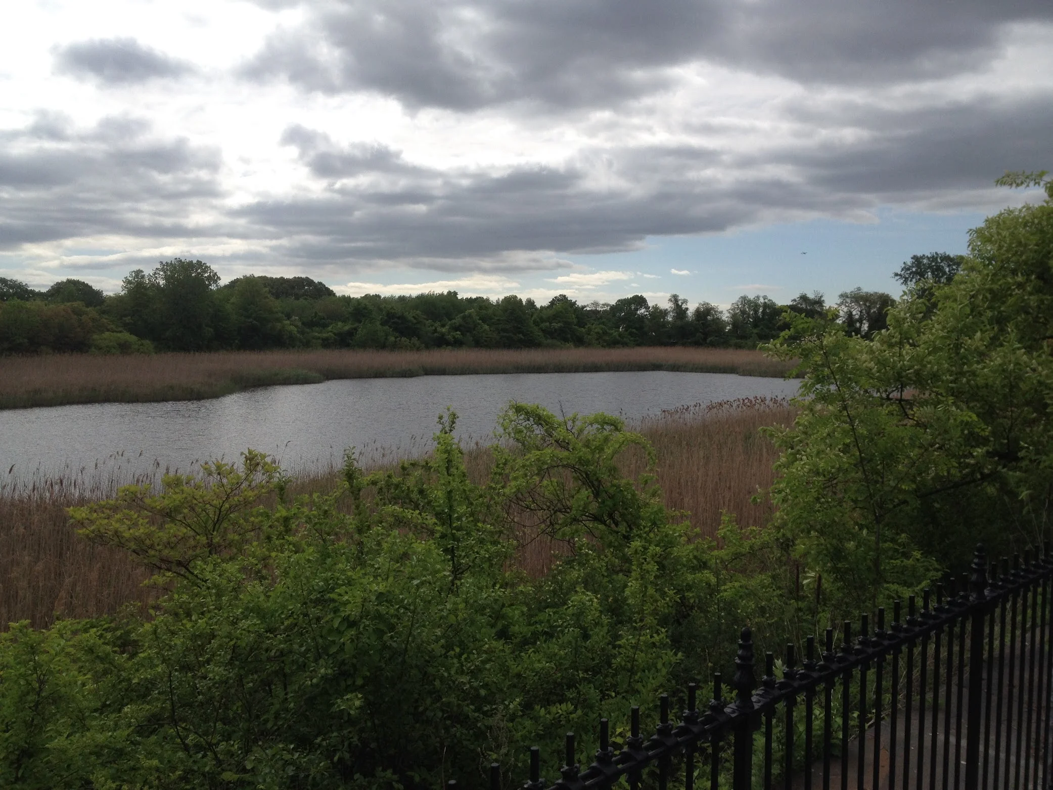 Advocates urge MTA to bring buses to Ridgewood Reservoir