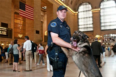 Top dogs: MTA police pups win big at nationwide competition