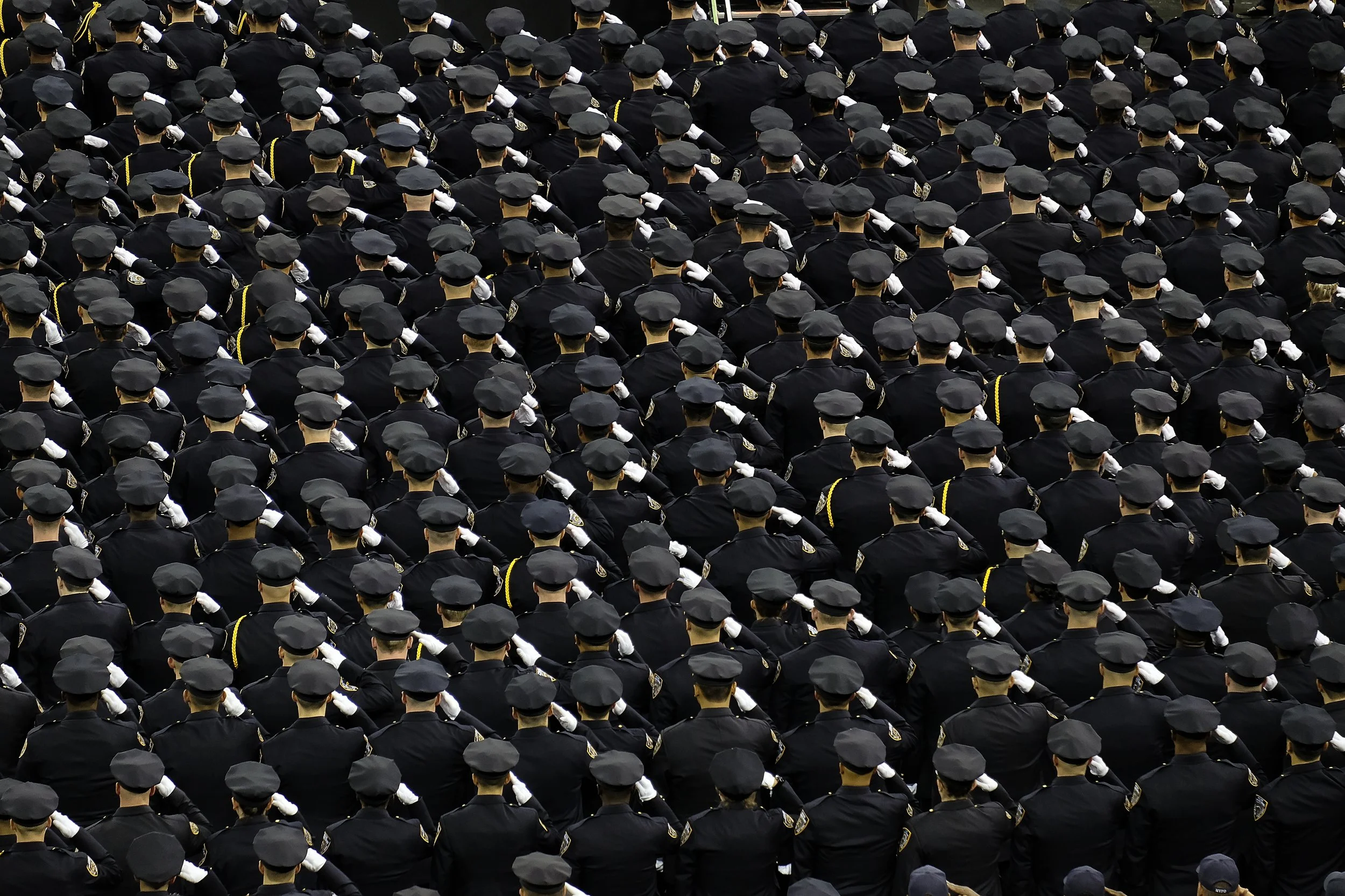 More than 80 cops have been named in Queens lawsuits this year