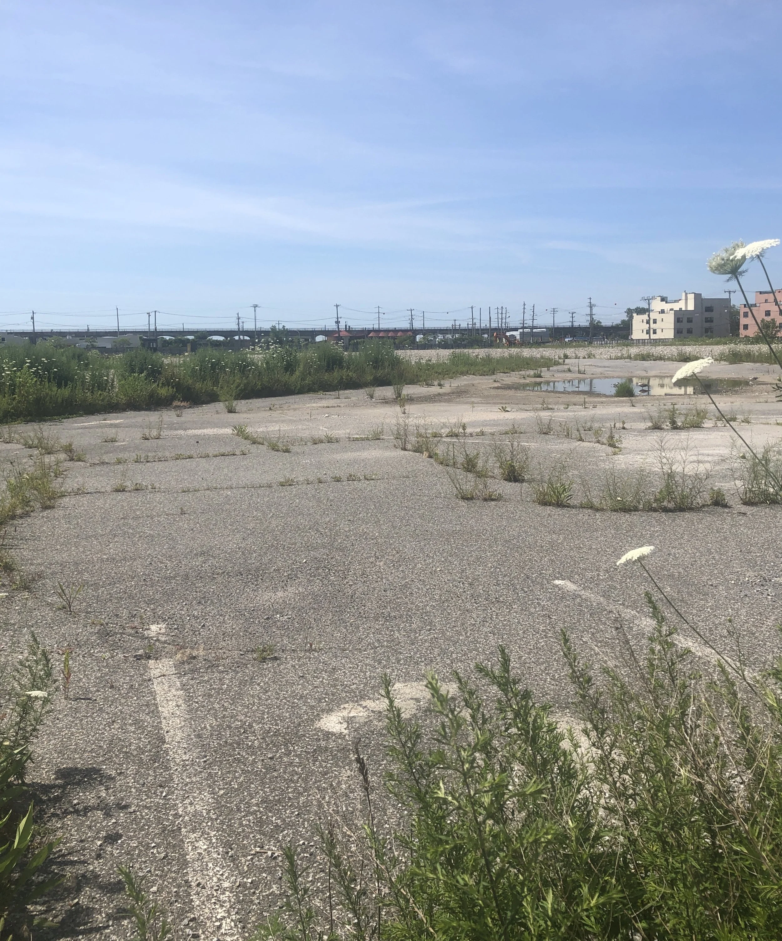 A 2,200-unit housing development is proposed at the site of a vacant lot in Edgmere, the former location of Peninsula Hospital. Eagle photo by Rachel Vick.