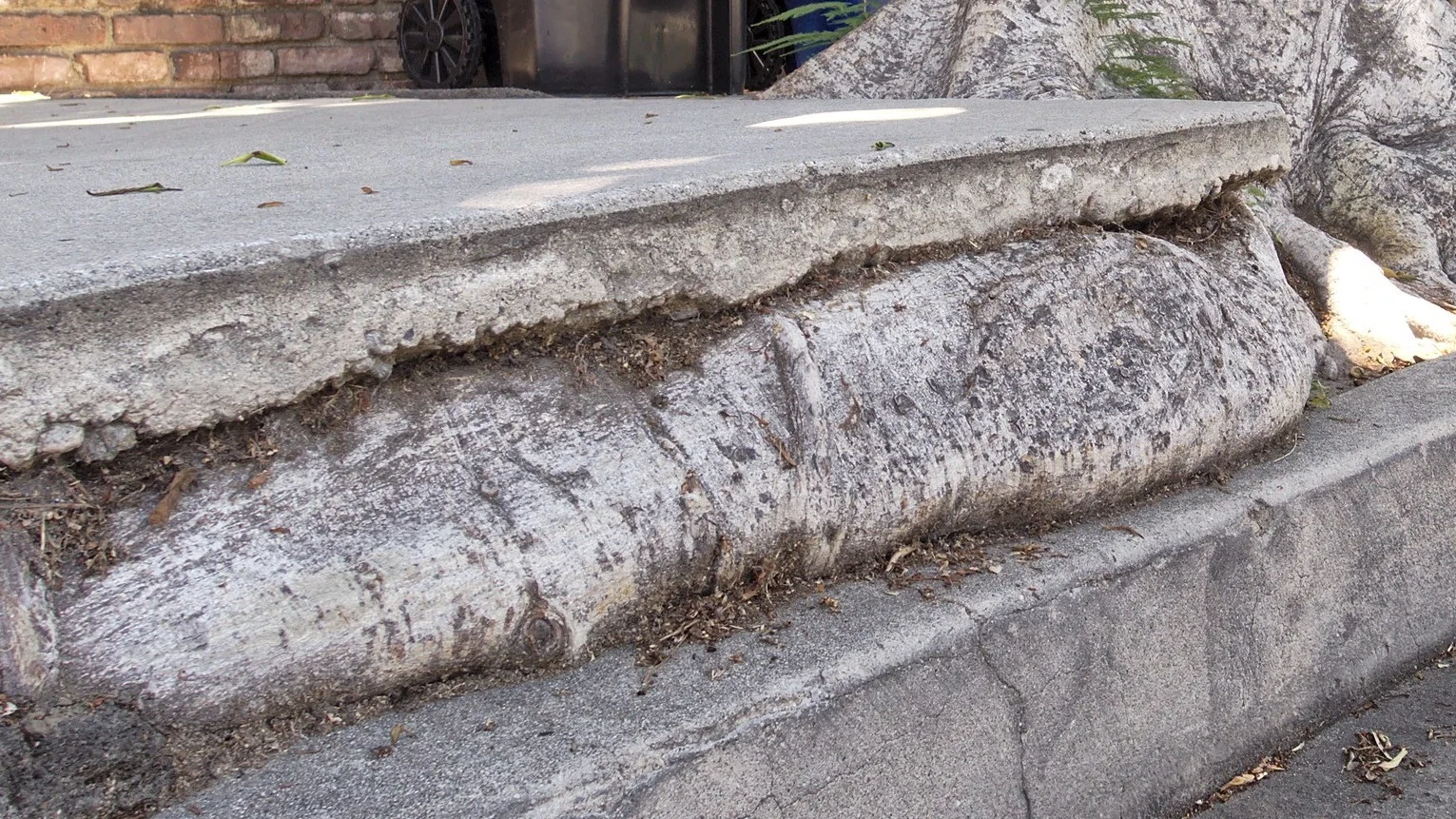 City eliminates root cause of frustration for homeowners