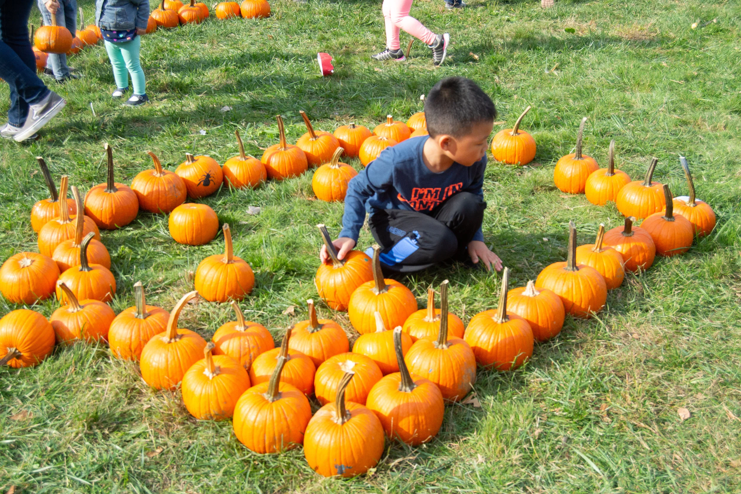 Queens Botanical Garden hosts annual Harvest Fest 