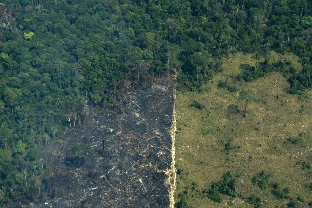 Opinion: New York must divest from climate disaster