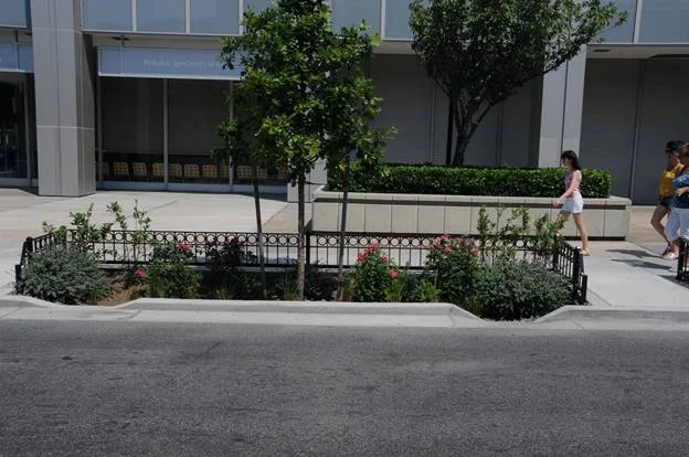 City hopes innovative ‘rain gardens’ will curb flooding in SE Queens