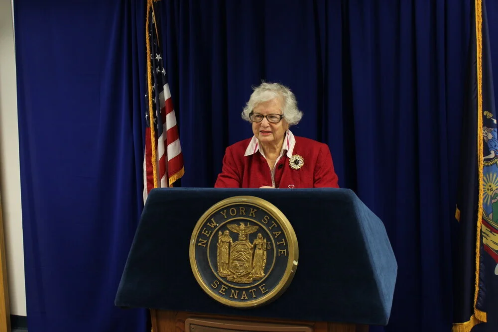 Queens Senator Stavisky calls for CUNY to cancel tuition hike