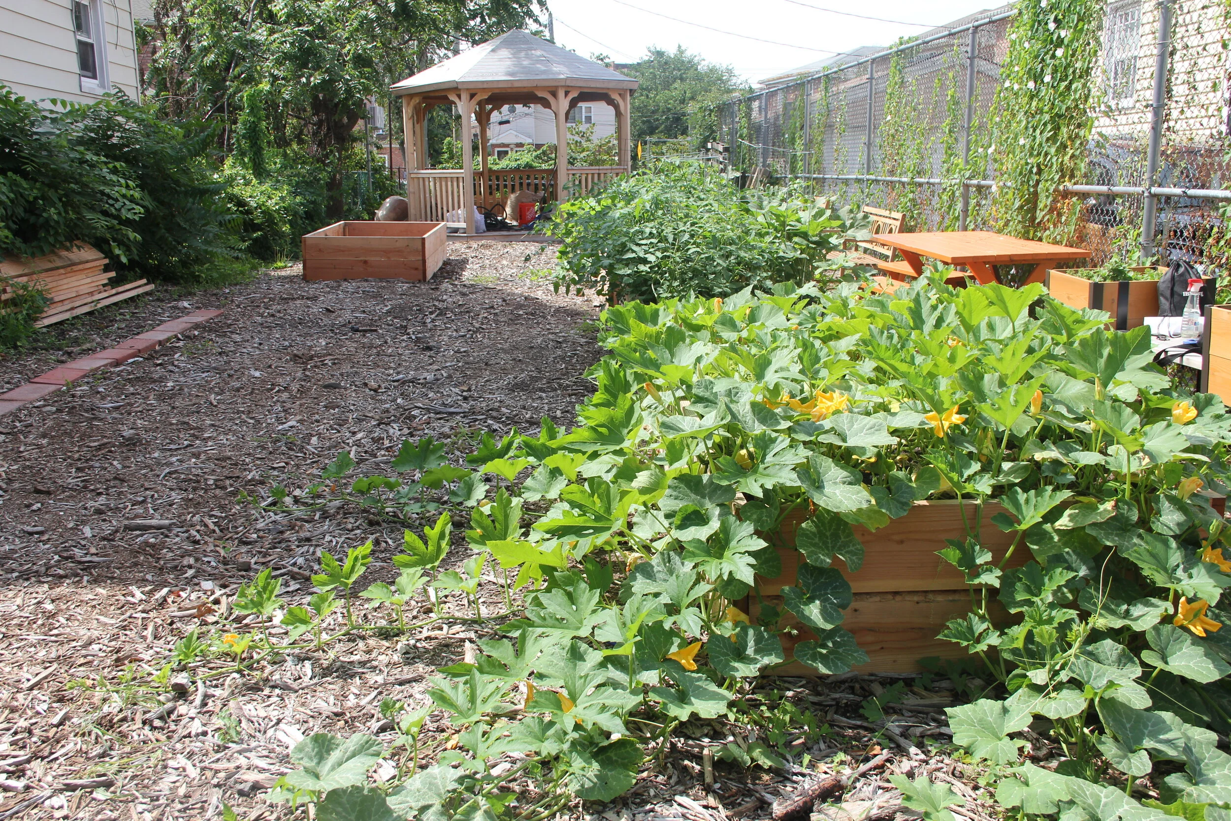 Community gardens could play key role in NYC’s outdoor learning plan — if the city lets them