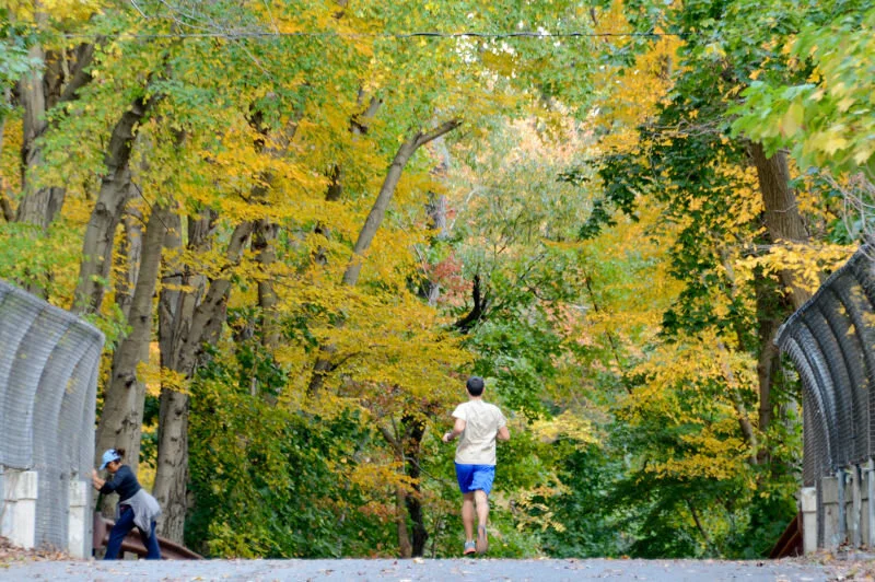 Queens’ century-old Vanderbilt Motorway is getting a makeover