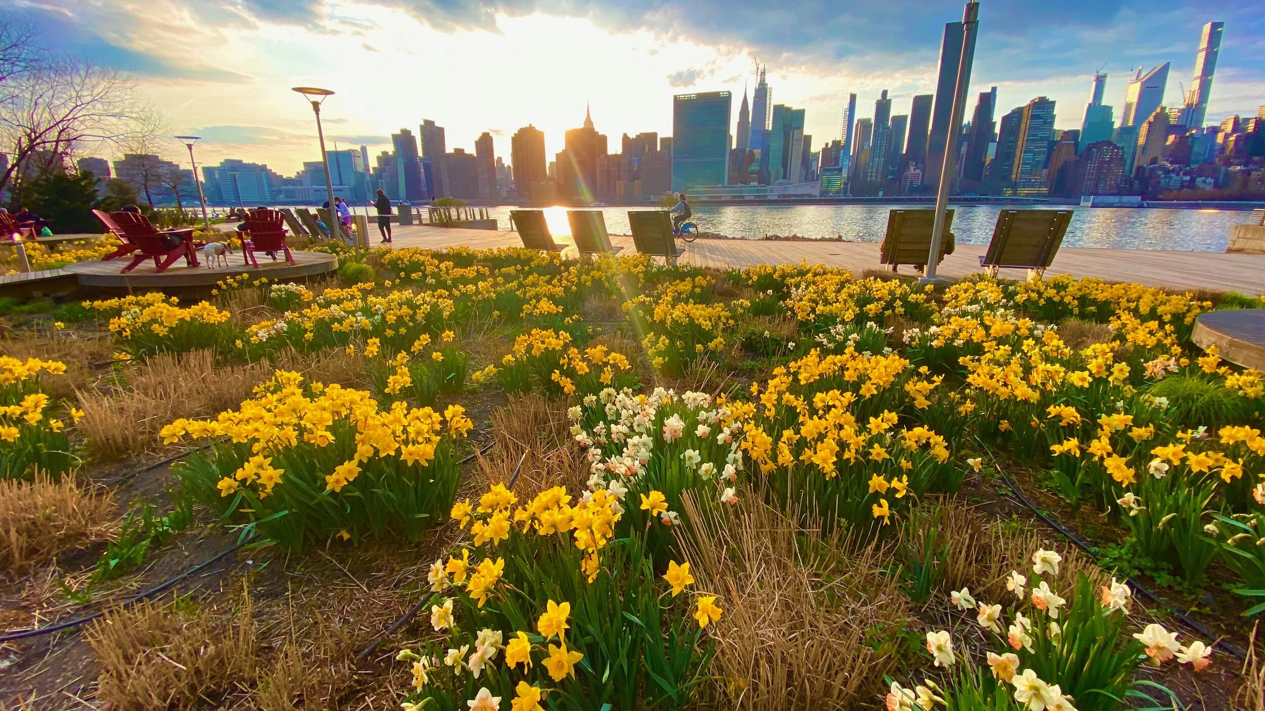 Bulbfest returns to Long Island City this month