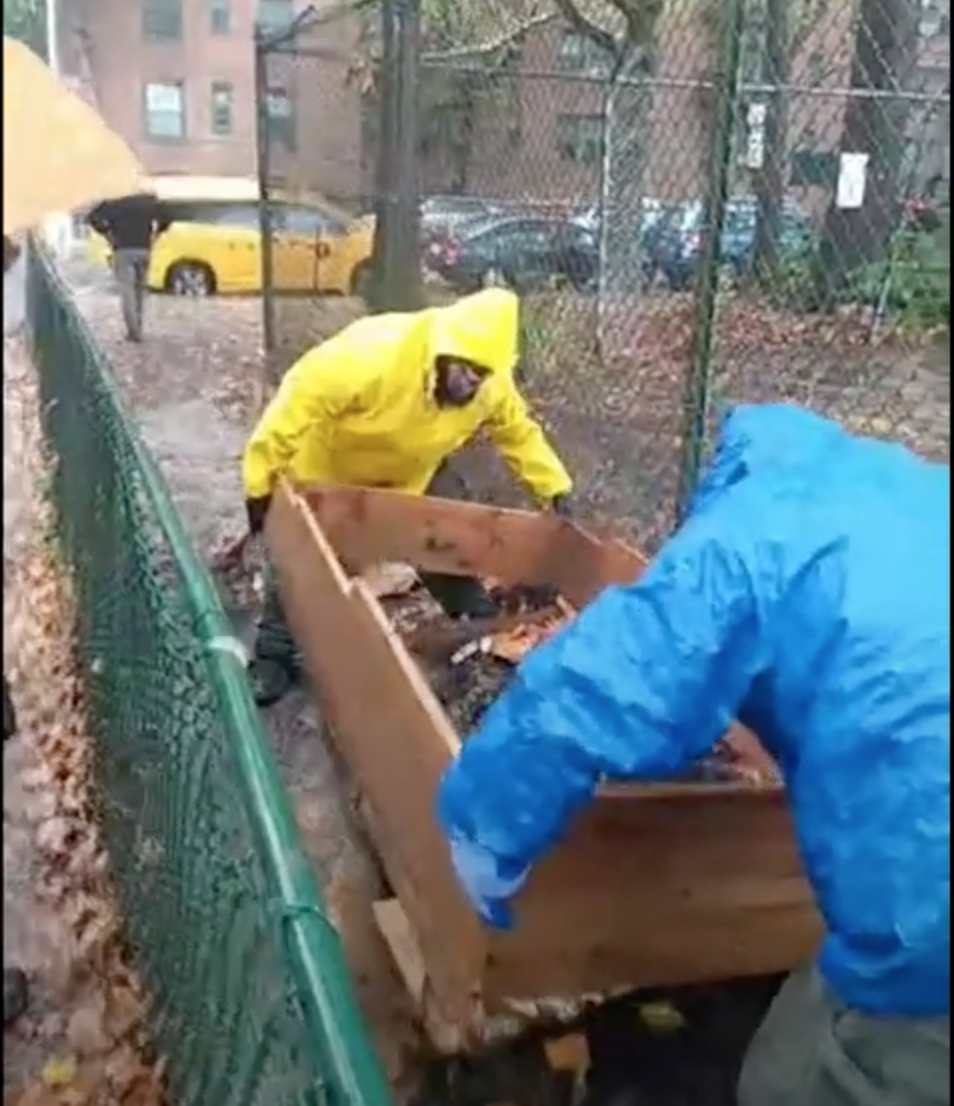 Sunnyside gardeners fight for food pantry plots removed by Parks Department