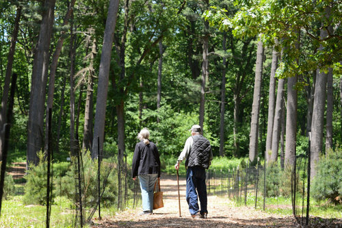 NYC opens second Queens Greenway hearing after plan ‘bicycle backbone’ mobilizes support