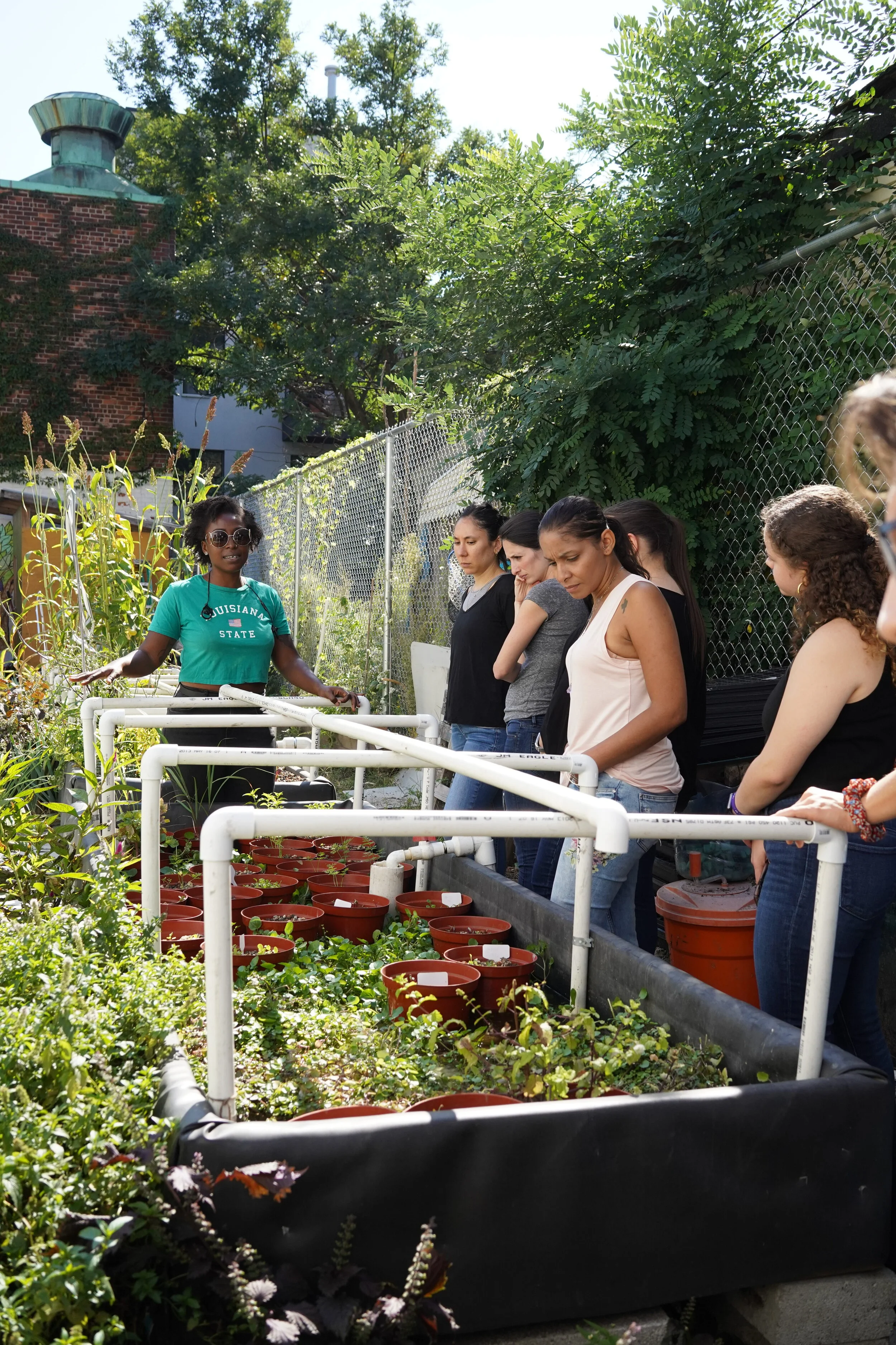 NYC's community gardeners petition for legal protections