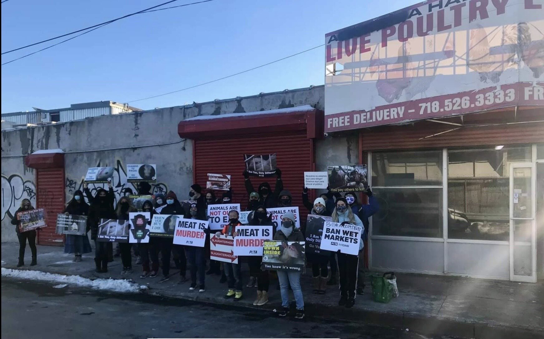 Queens activists keep candle burning for escaped cow