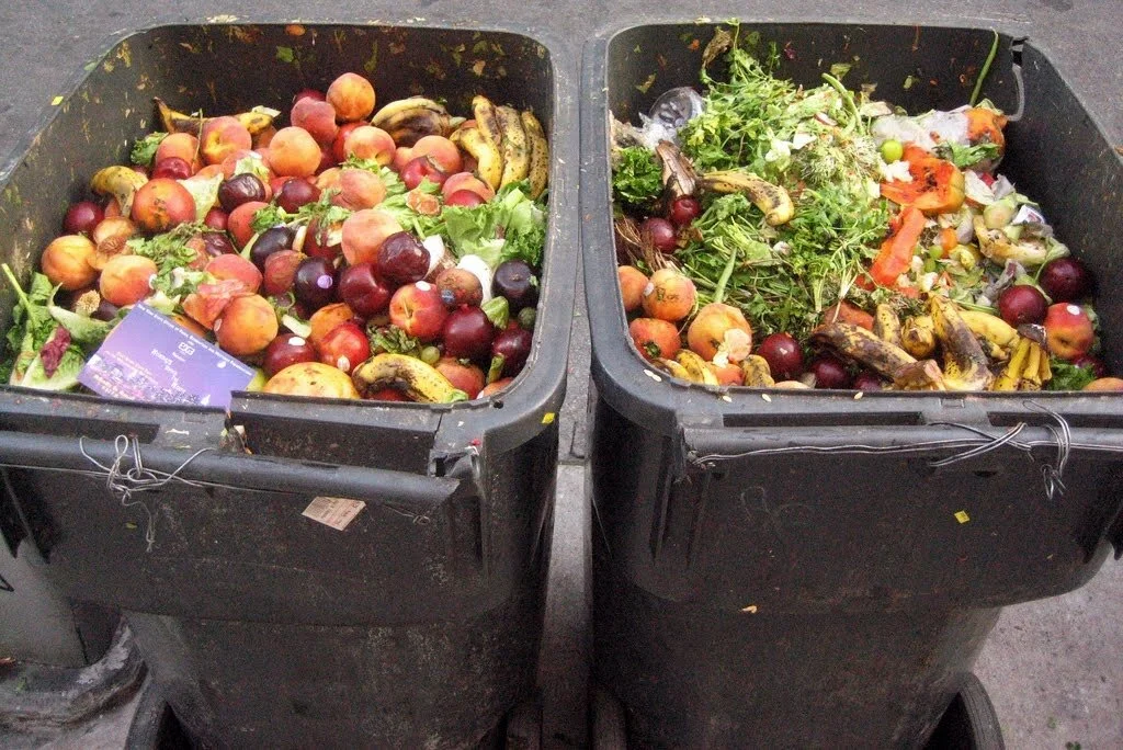 Queens waste committee lays out plan for zero waste future