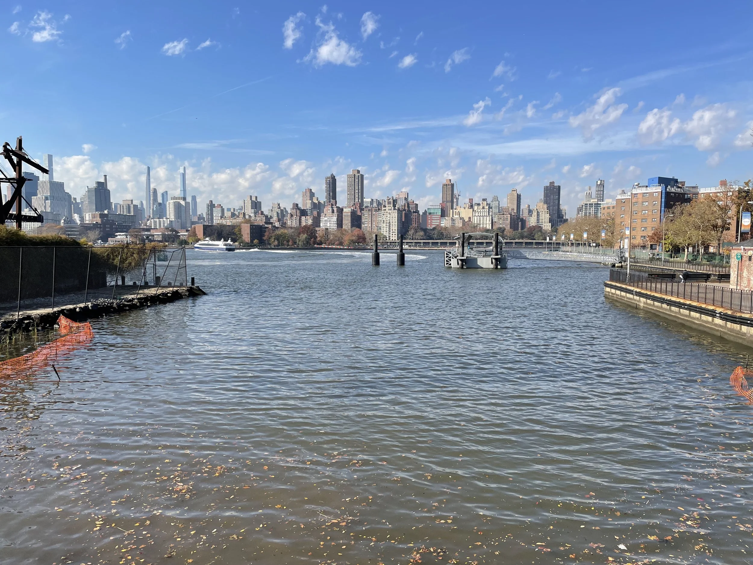 City begins clean up of Hallets Cove