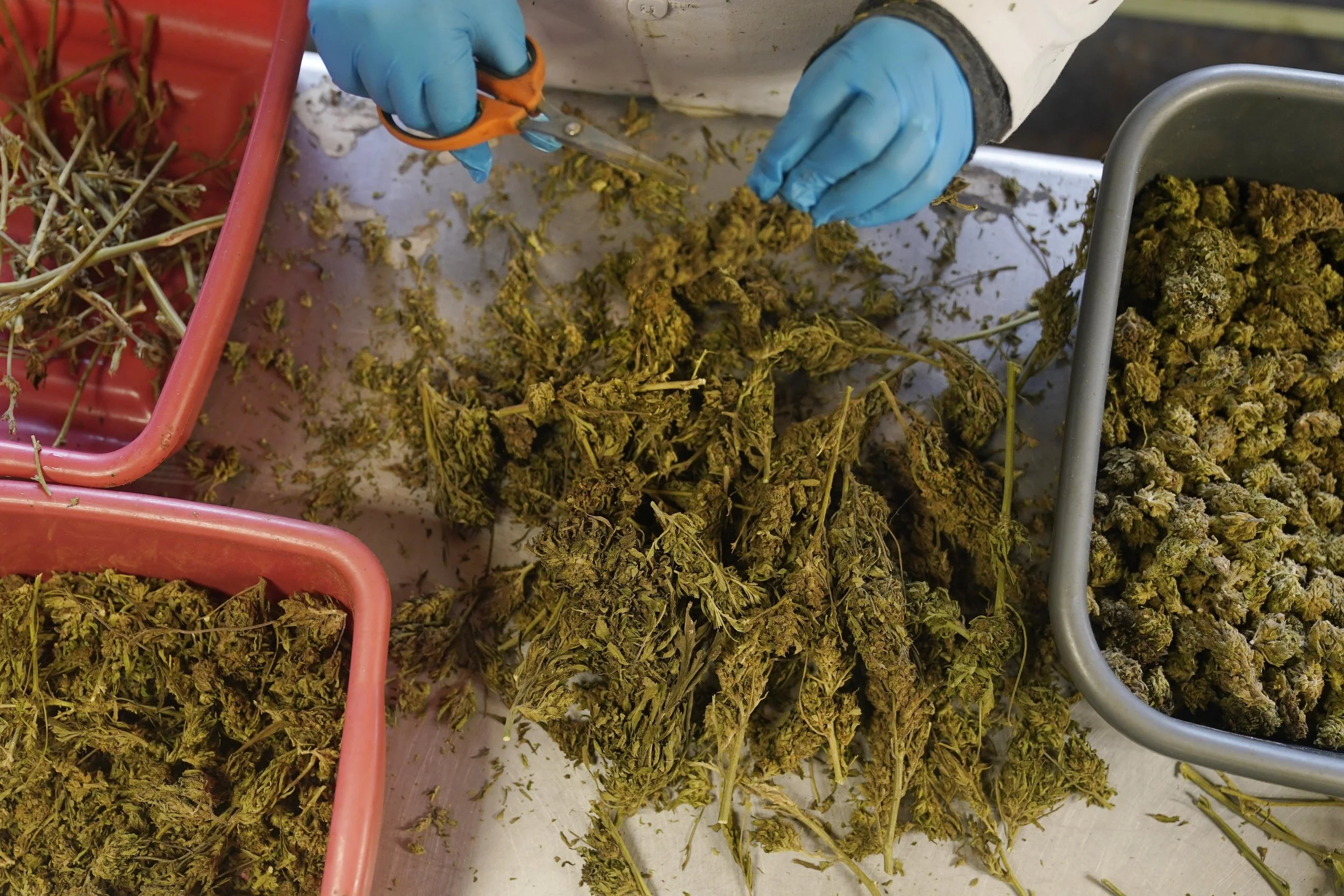 Smoke begins to clear on marijuana licensing 