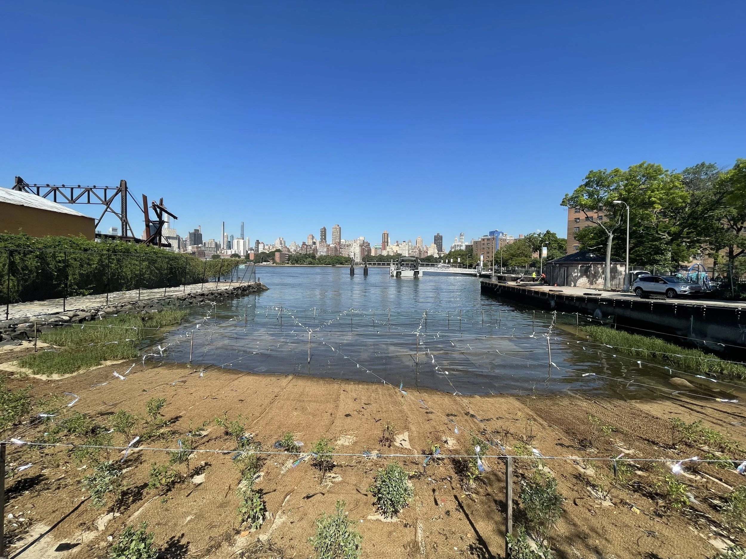 ‘What a difference’: Hallets Cove restoration nears completion