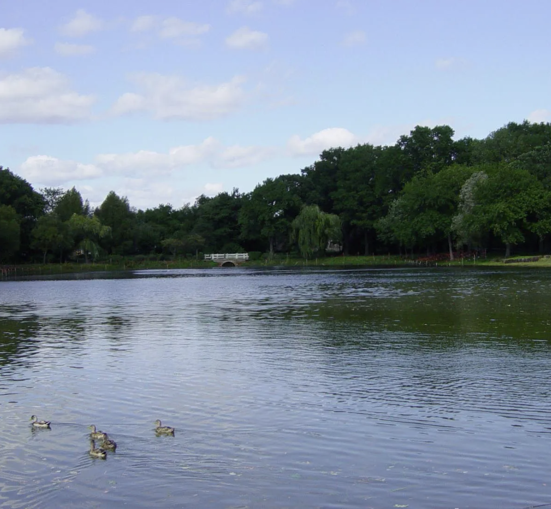 Opinion: Parks budget is a step in the right direction — but it doesn’t go far enough in Queens