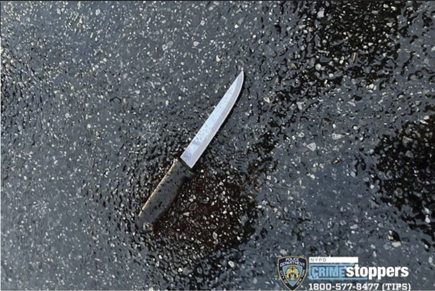 Five dead, three injured in bloody Far Rock stabbing 