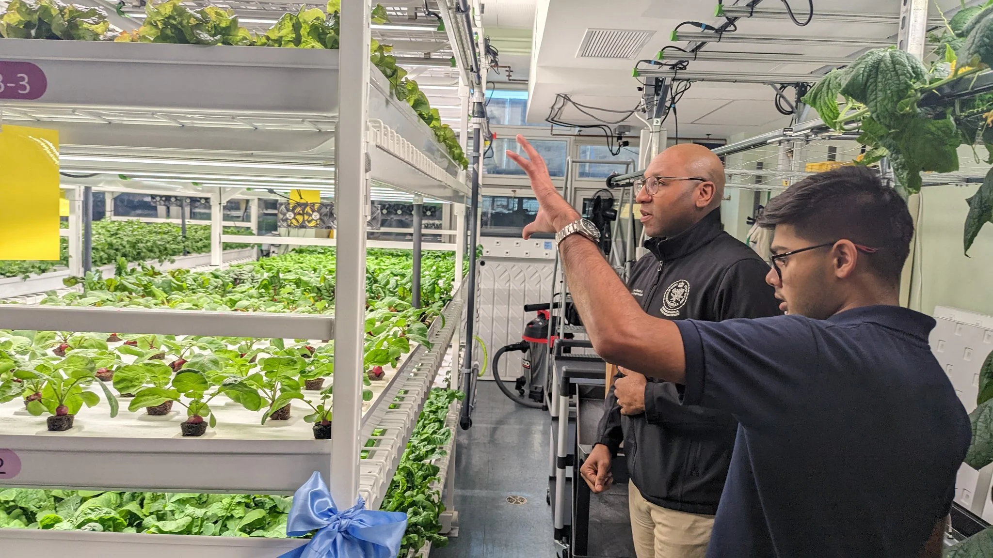   BP to give green to Queens schools for new hydroponics labs