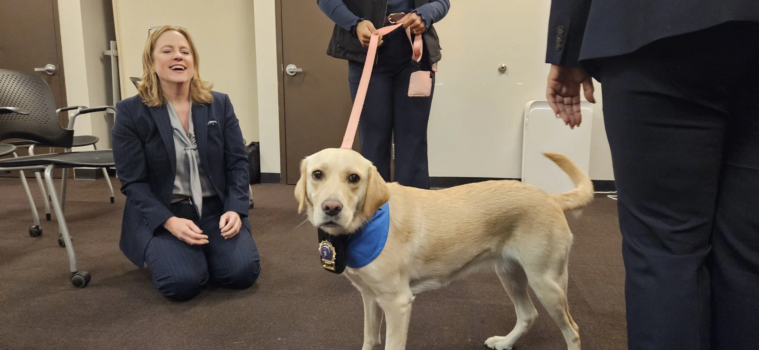 Meet the DA’s newest hire – Kimi, the companion dog