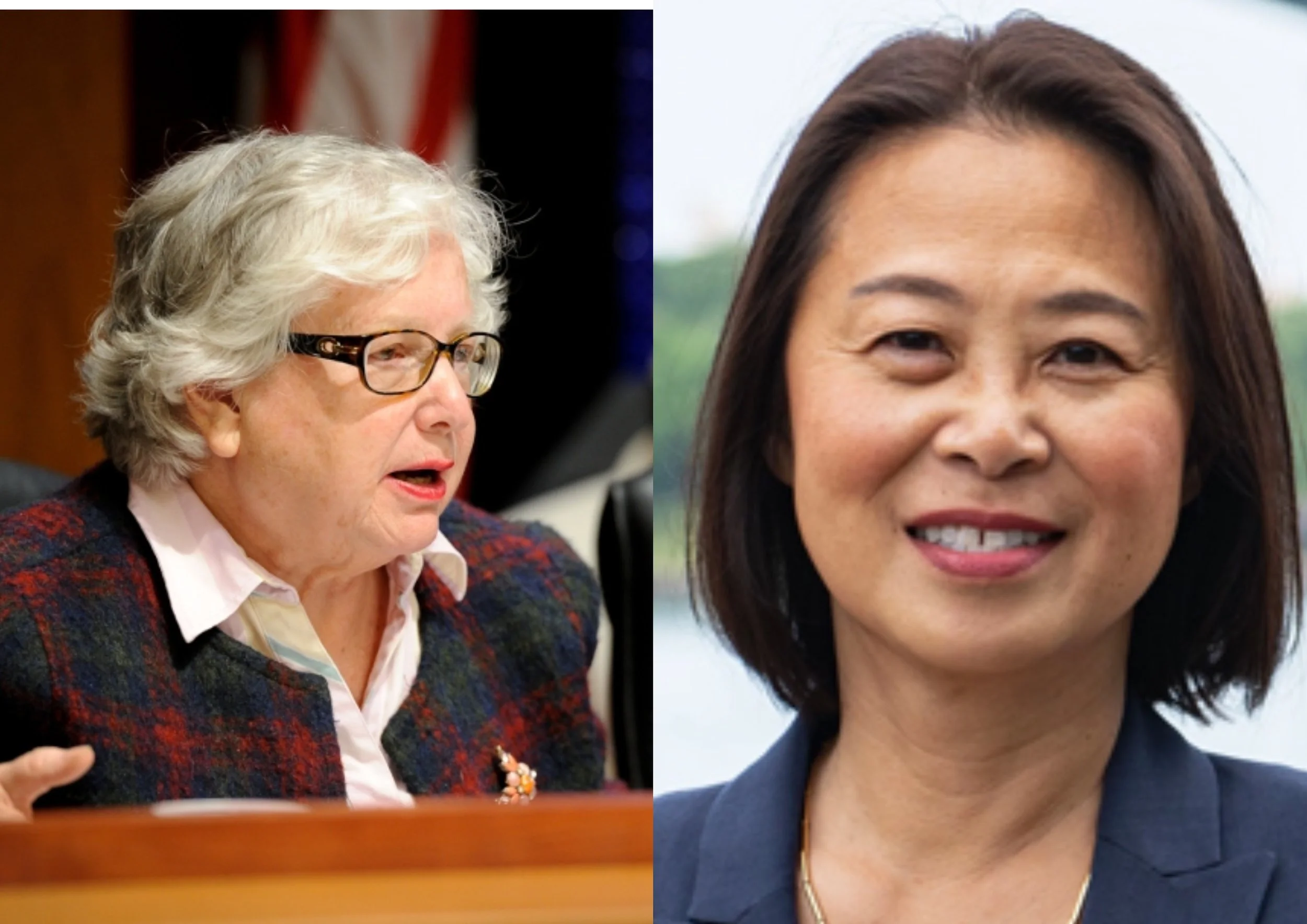 After 25 years in office, does Stavisky now face her biggest threat? 