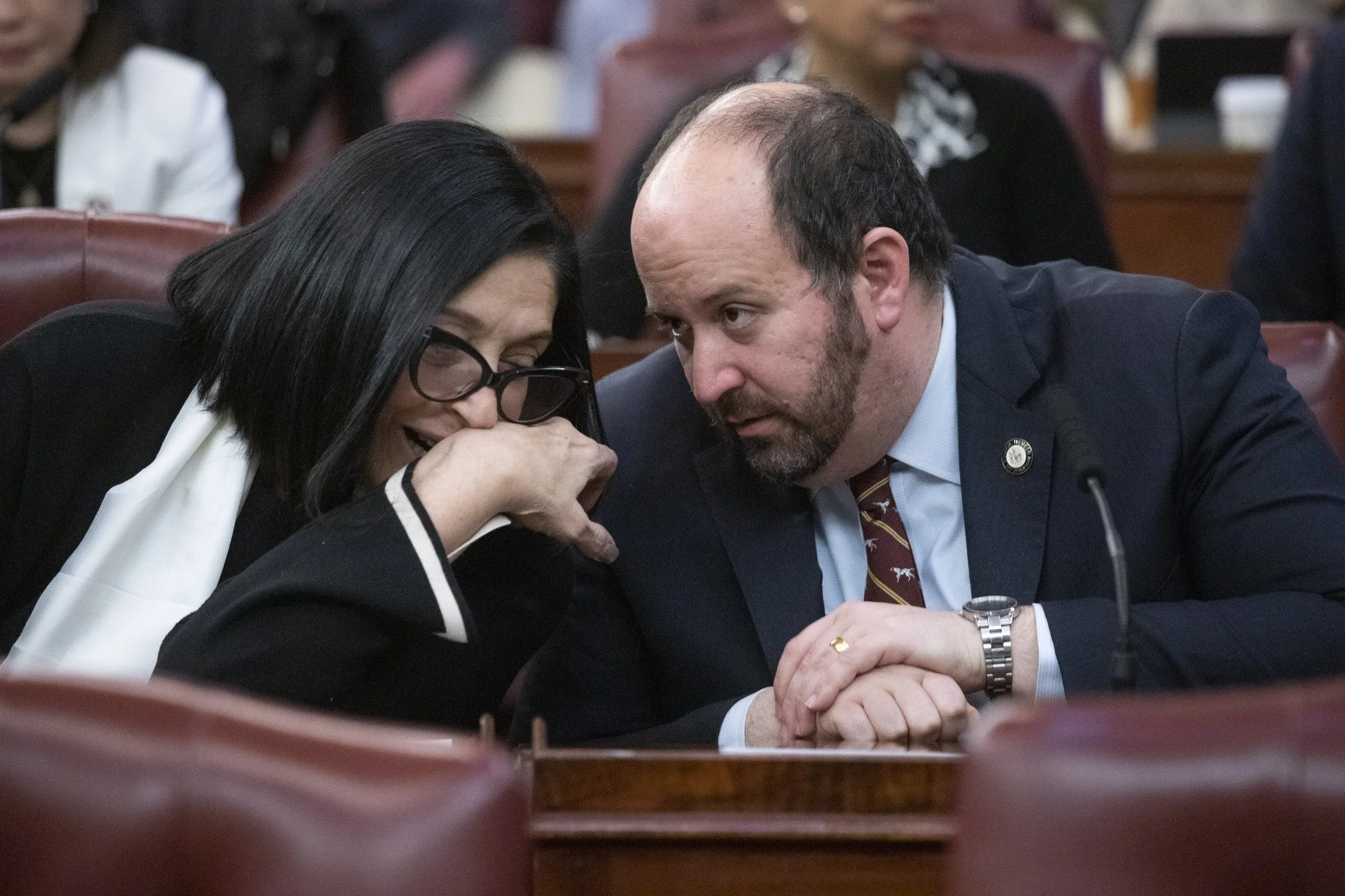 Council Republicans split over minority leader vote 