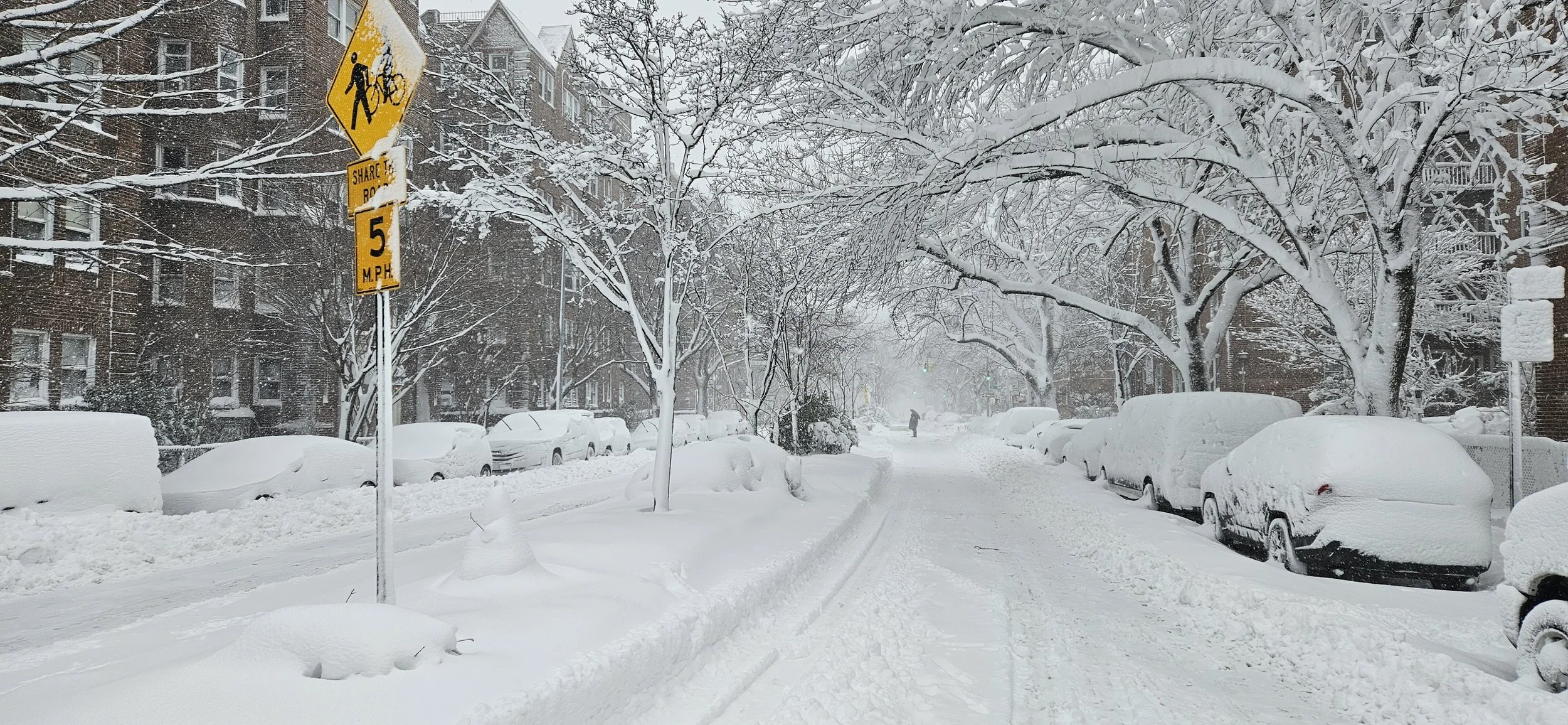 Queens slows to crawl after being blanketed by snow