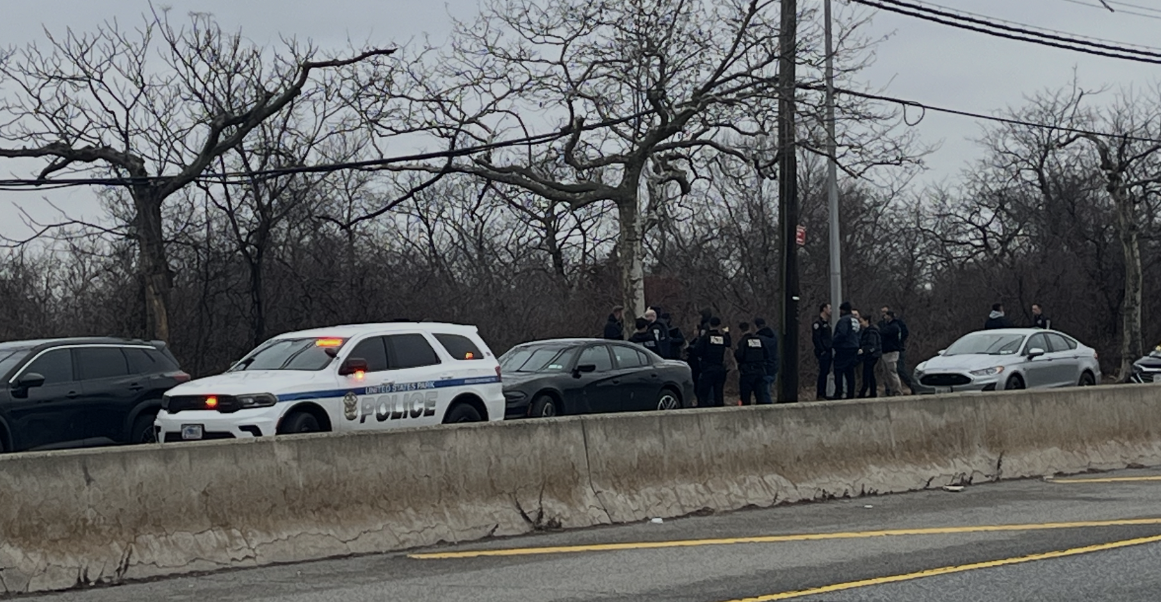 Decomposing head found in Queens wildlife sanctuary: sources