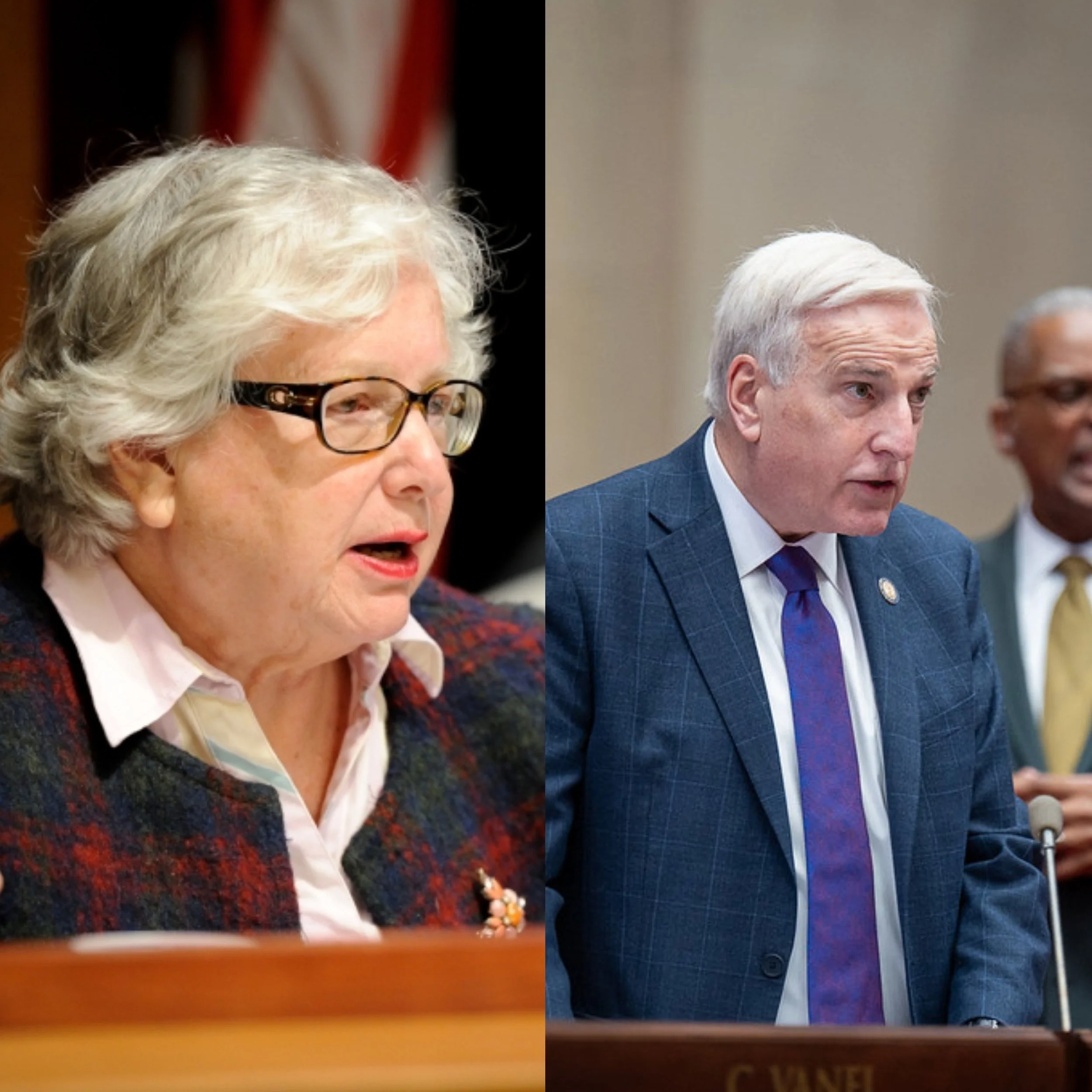 Two Queens Dem mainstays to run unopposed after challengers booted from ballot 