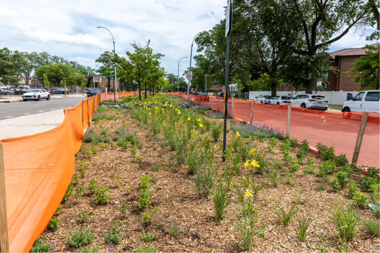 Queens to get new green medians to help combat severe flooding