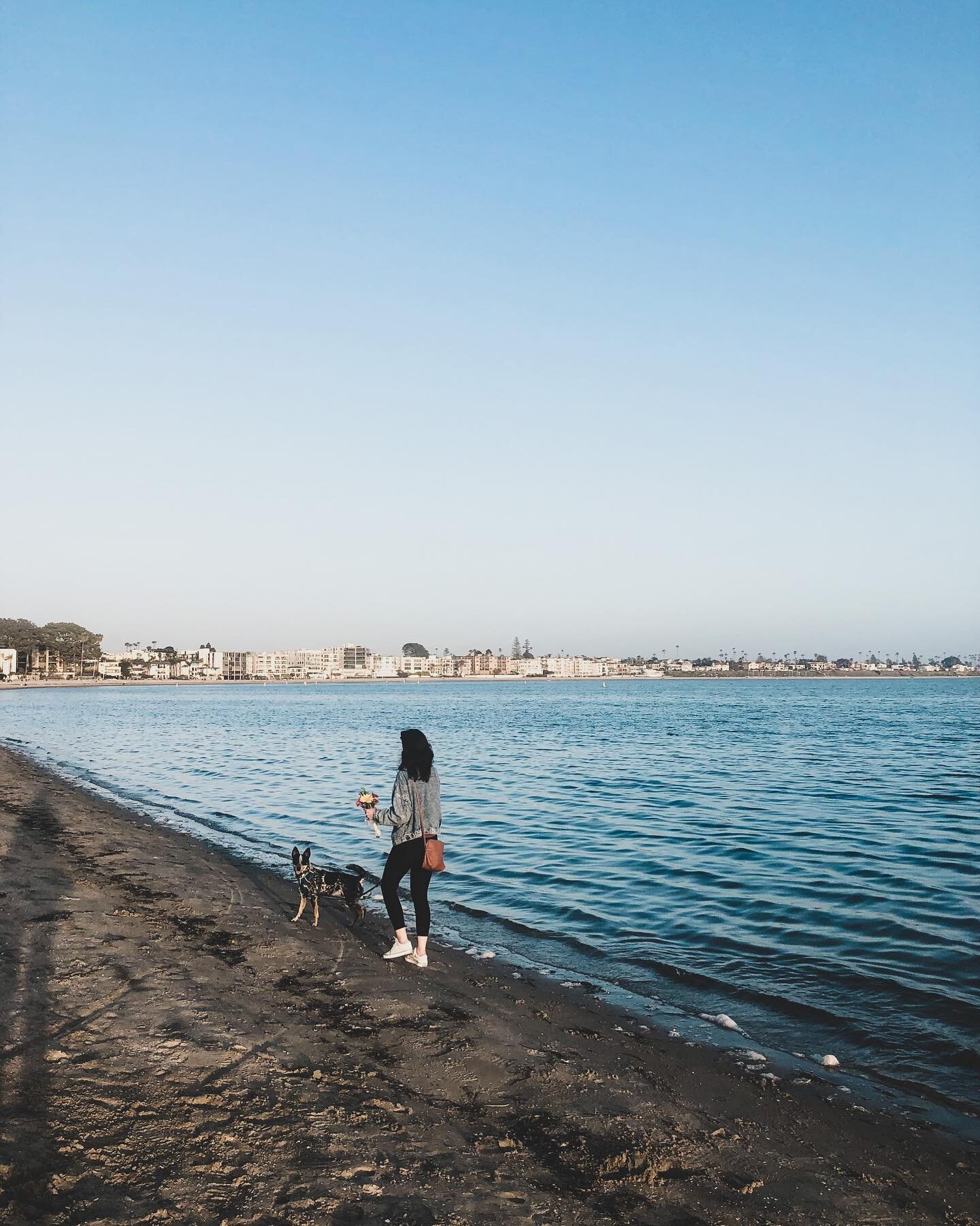 Exploring our new neighborhood / biting the  water - same thing!