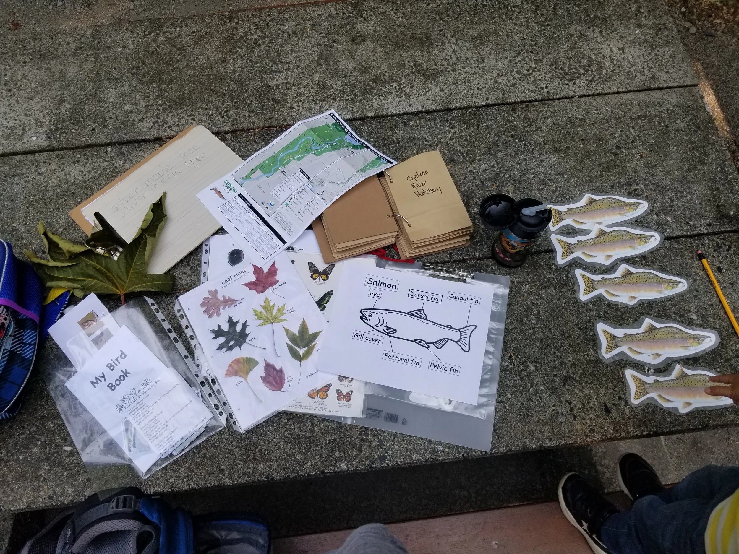 20180724_104028.jpg