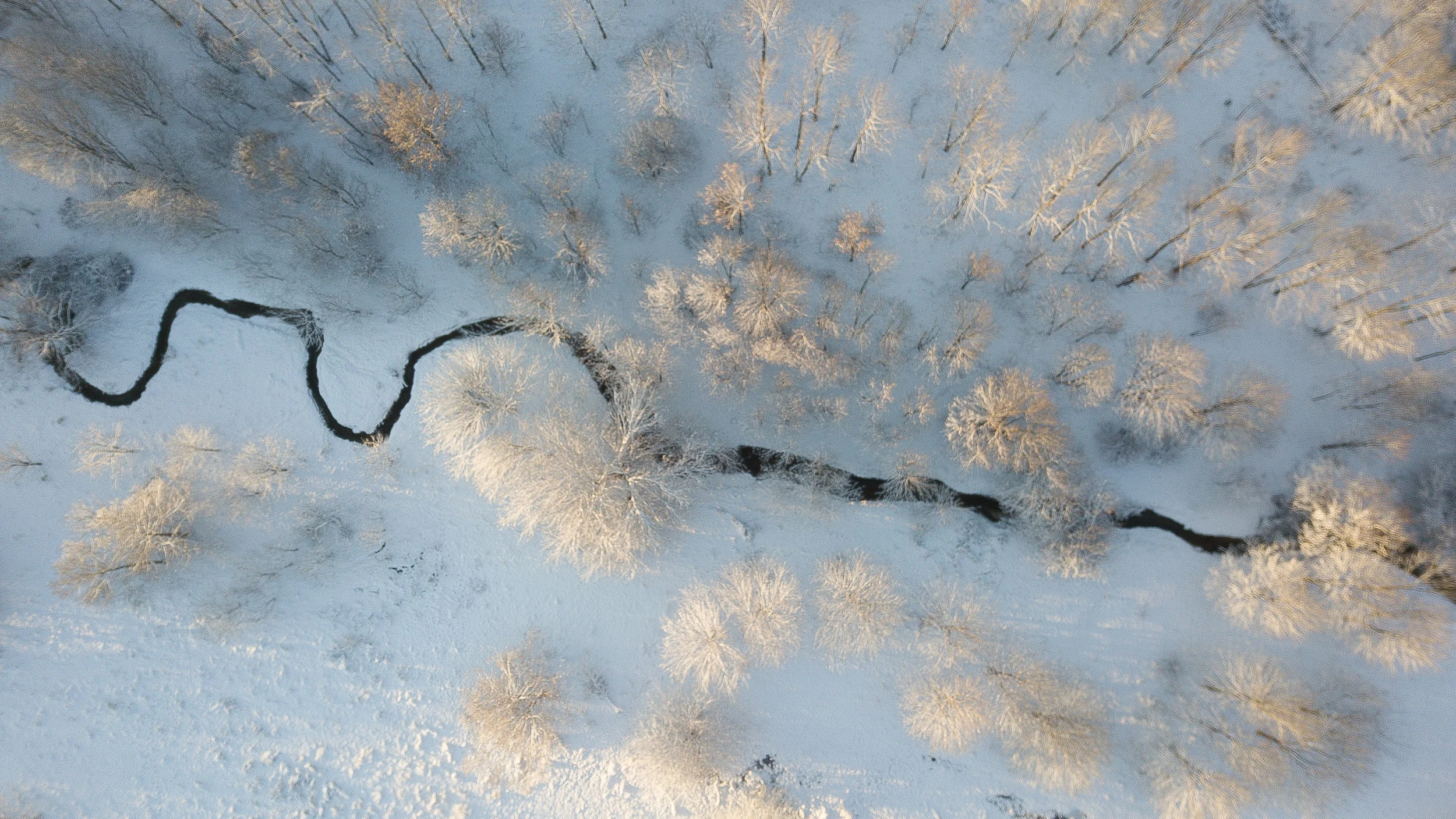 A view from above