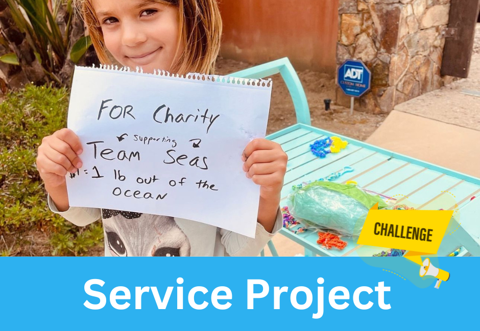 Care Plan - You Make the “Micro-Business”