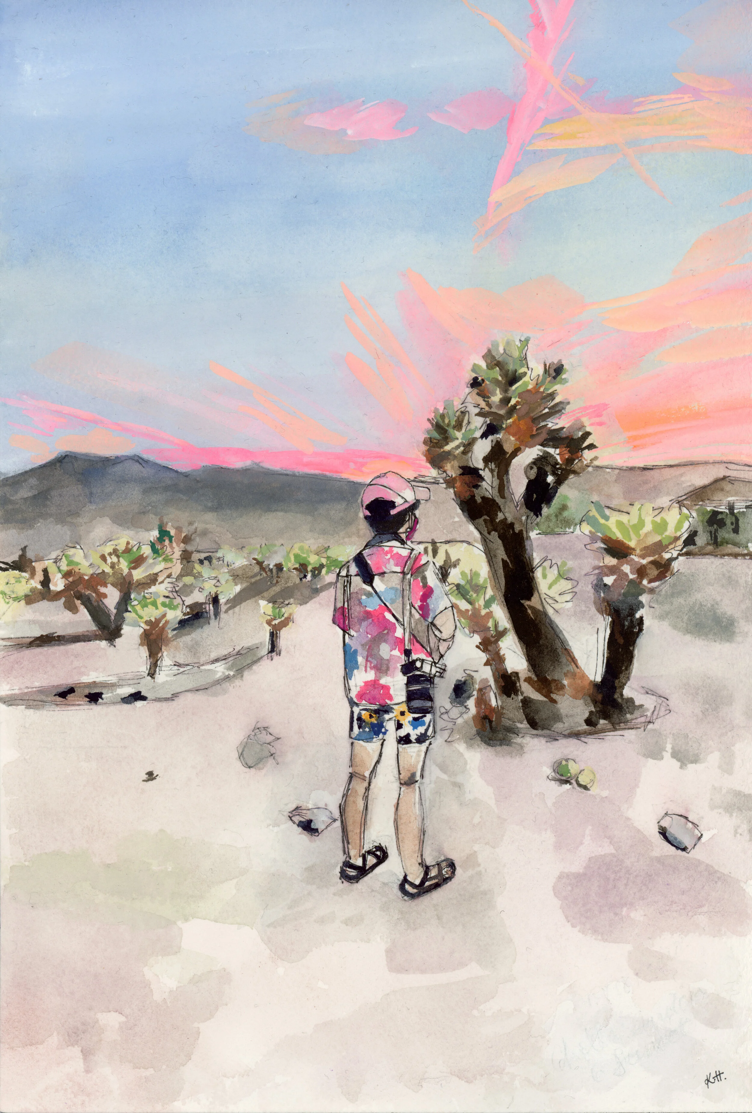 Joshua Tree, Death Valley, Yosemite 