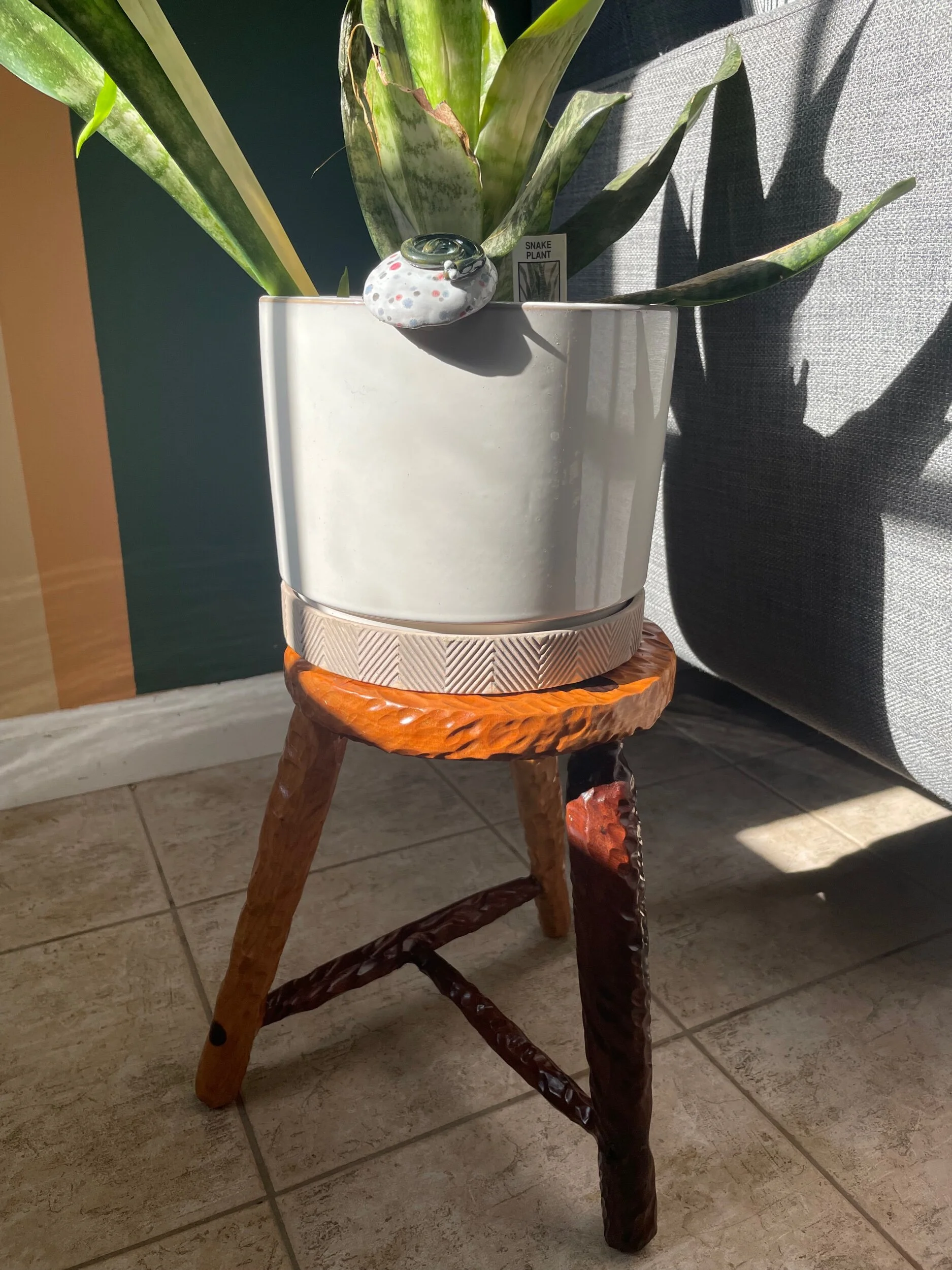 F1EE6FE2-F10A-4306-A48E-F0A52694A748