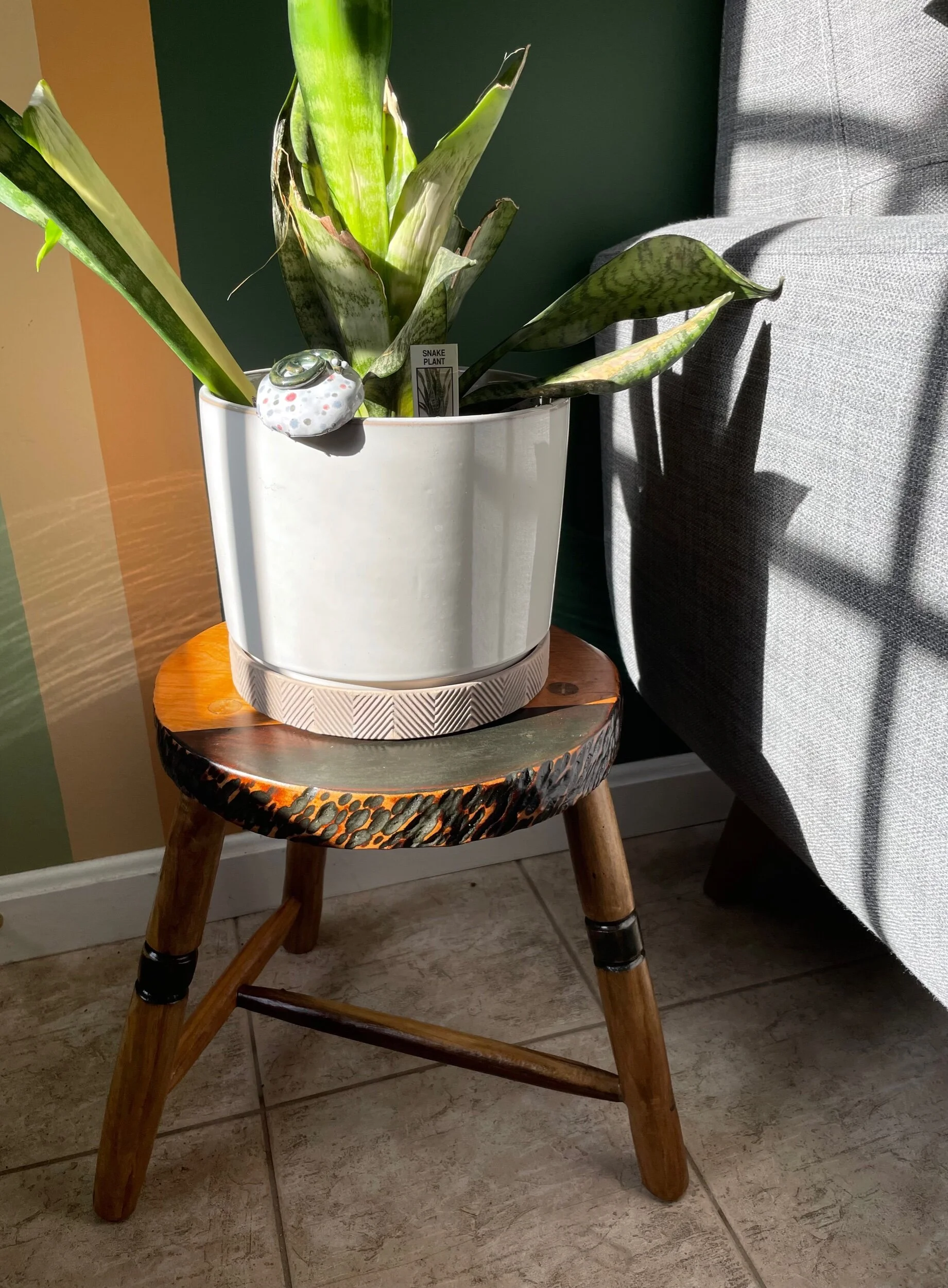 8F9D3C3C-BF8E-4C88-A6C8-810E1B7CB1D0