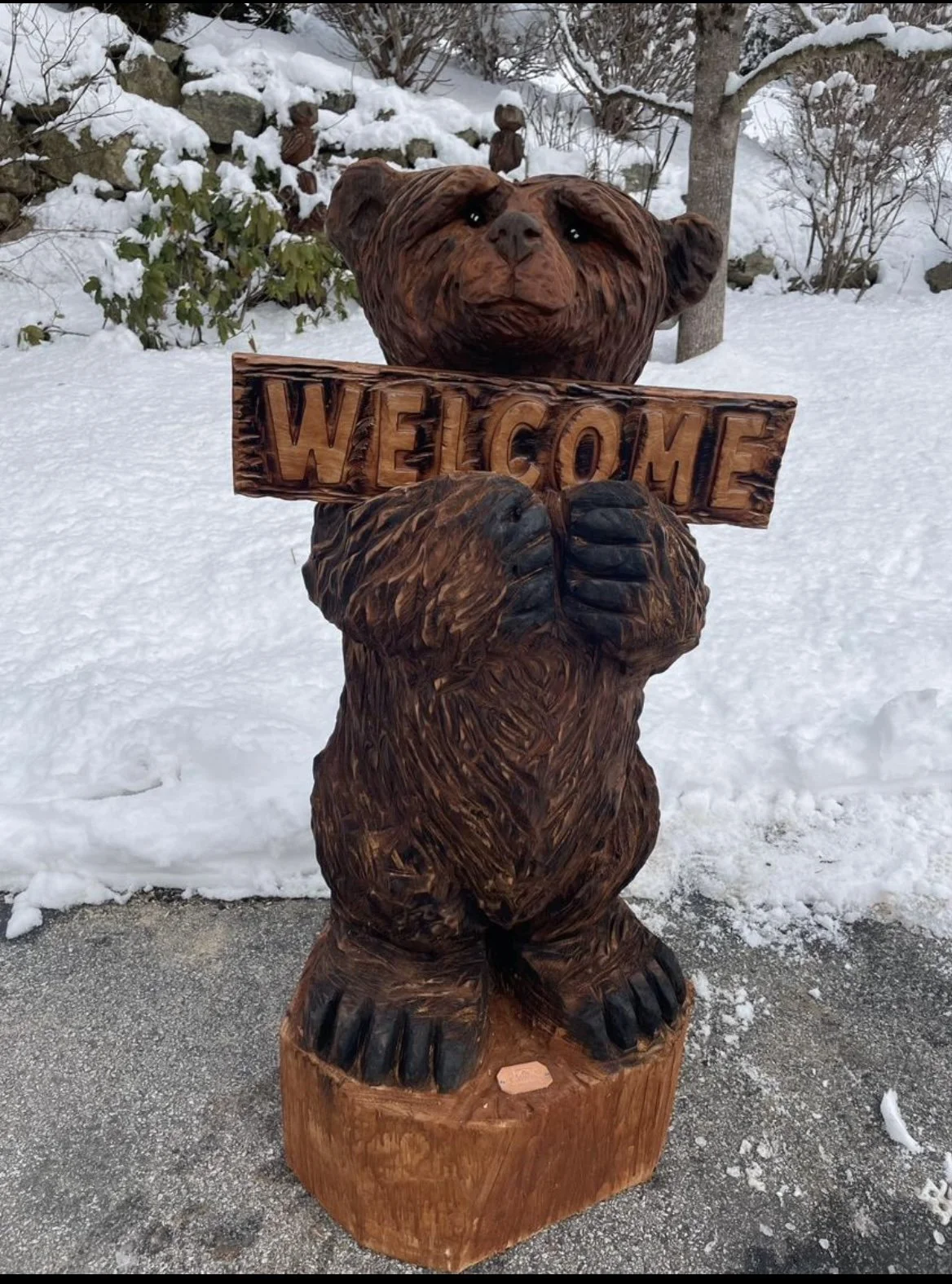 Welcome Bear 